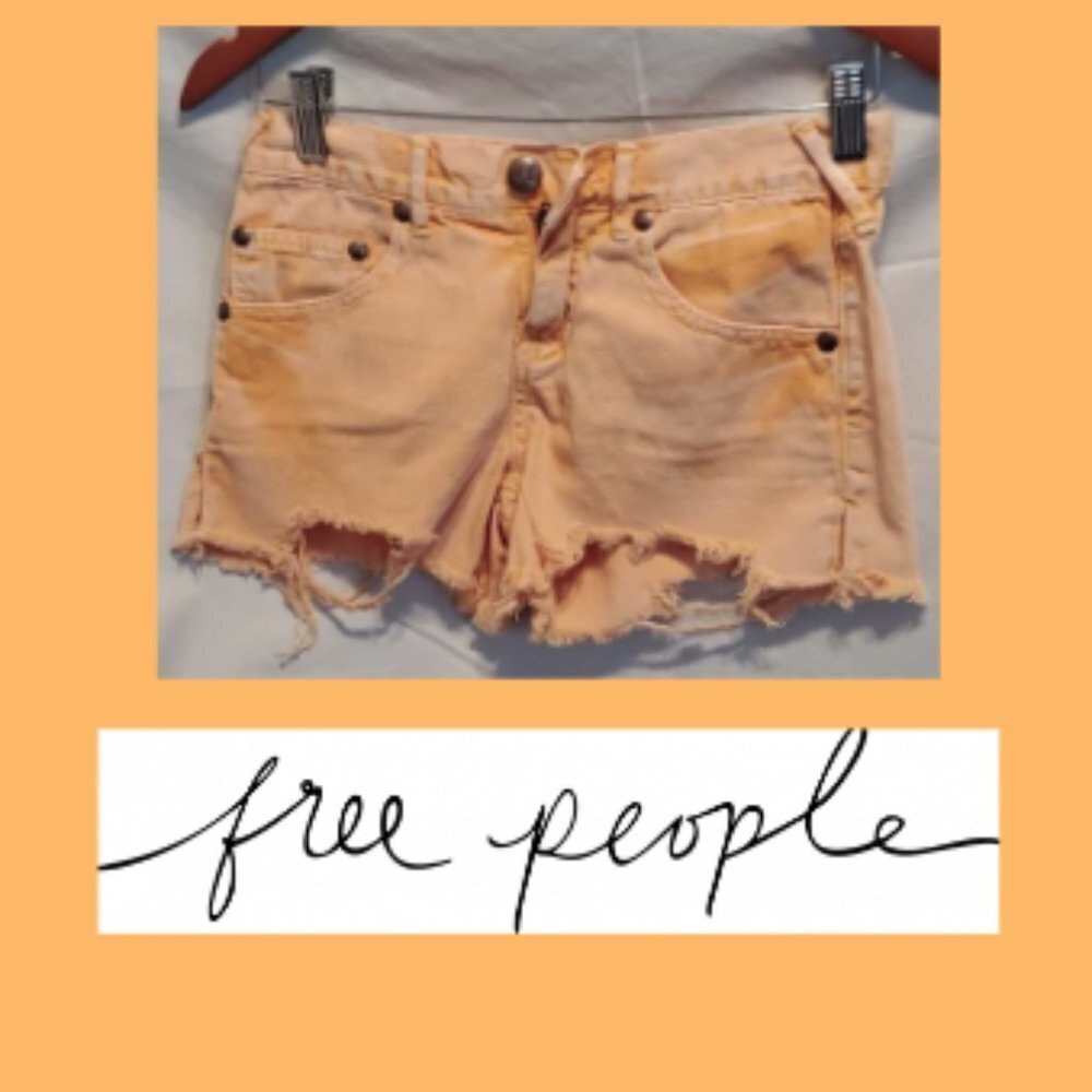 Free People Distressed Shorts SZ 24